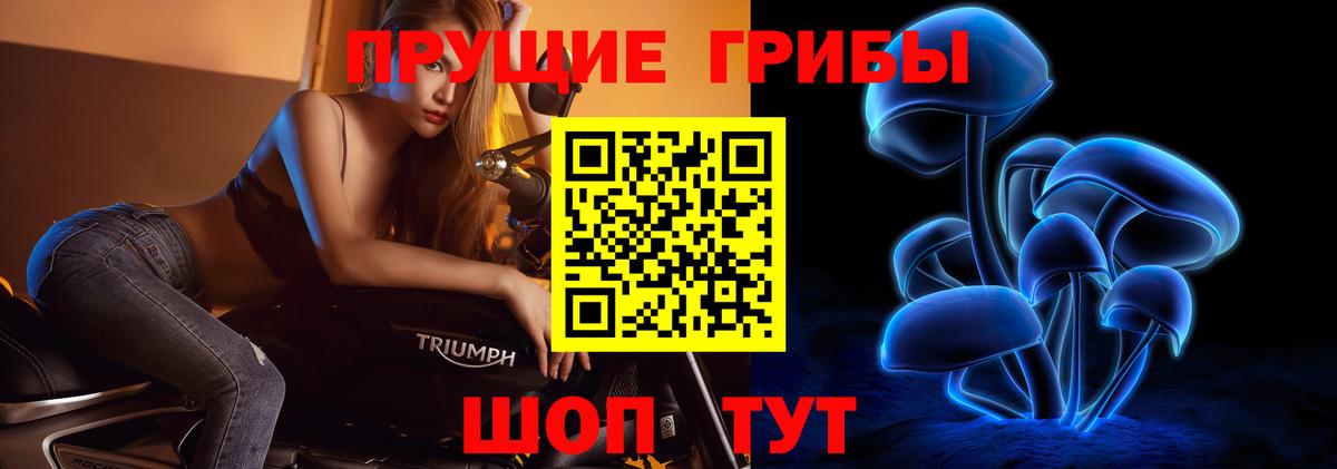 даркнет сайт  Галлюциногенные грибы GOLDEN TEACHER  Вход с VPN  Красноярск 